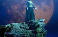 Instalacja oświetleniowa w Teatrze Muzycznym w Gdyni - Zdjęcia autorstwa Piotra Manasterskiego pochodzą z przedstawienia "Shrek" (publikacja za zgodą PS TEATR)