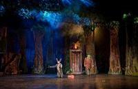 Instalacja oświetleniowa w Teatrze Muzycznym w Gdyni - Zdjęcia autorstwa Piotra Manasterskiego pochodzą z przedstawienia "Shrek" (publikacja za zgodą PS TEATR)