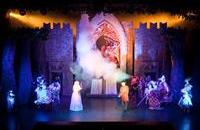 Instalacja oświetleniowa w Teatrze Muzycznym w Gdyni - Zdjęcia autorstwa Piotra Manasterskiego pochodzą z przedstawienia "Shrek" (publikacja za zgodą PS TEATR)