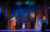 Instalacja oświetleniowa w Teatrze Muzycznym w Gdyni - Zdjęcia autorstwa Piotra Manasterskiego pochodzą z przedstawienia "Shrek" (publikacja za zgodą PS TEATR)